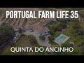 Portugal Farm Life - 35 - Quinta do Ancinho - The Marsh Family Homestead