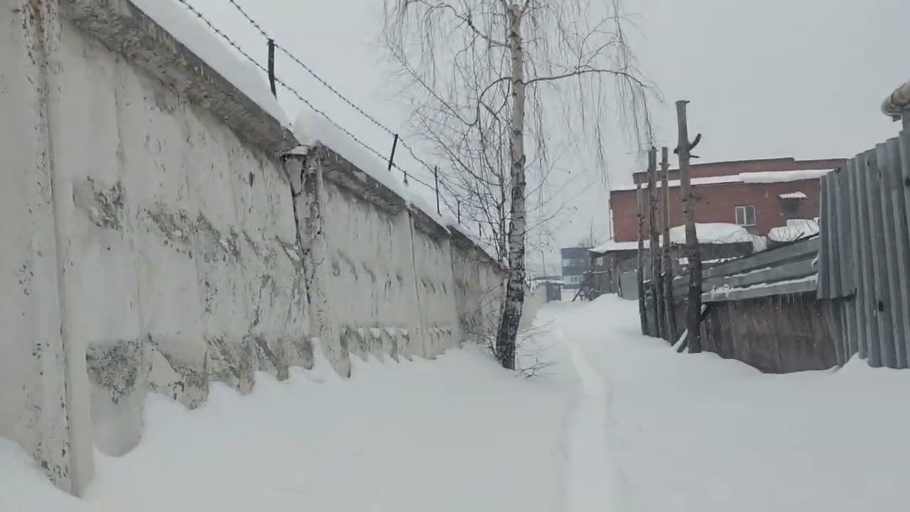 2 марта 2026 г.