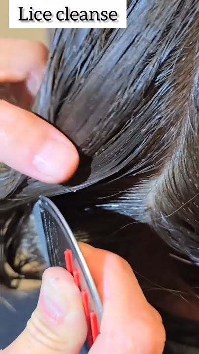 Terminator Hair Care Comb Review | Gentle Comb for Healthy Scalp #licecomb #haircare #haircaretips