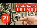 Quietschende Fahrradbremse - Das hilft wirklich! (Ausführlicher Workshop)