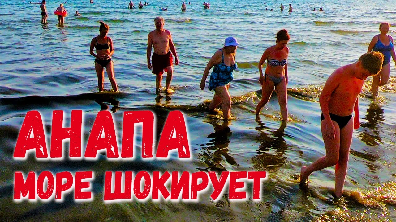 Божьи коровки в анапе 2021 на пляже Божьи коровки в анапе 2021 на пляже