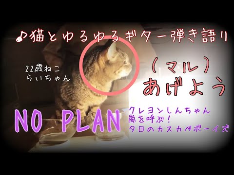 【○(マル)あげよう】NO PLAN 弾き語りカバー　猫とともに　クレヨンしんちゃん　嵐を呼ぶ！夕日のカスカベボーイズ　主題歌