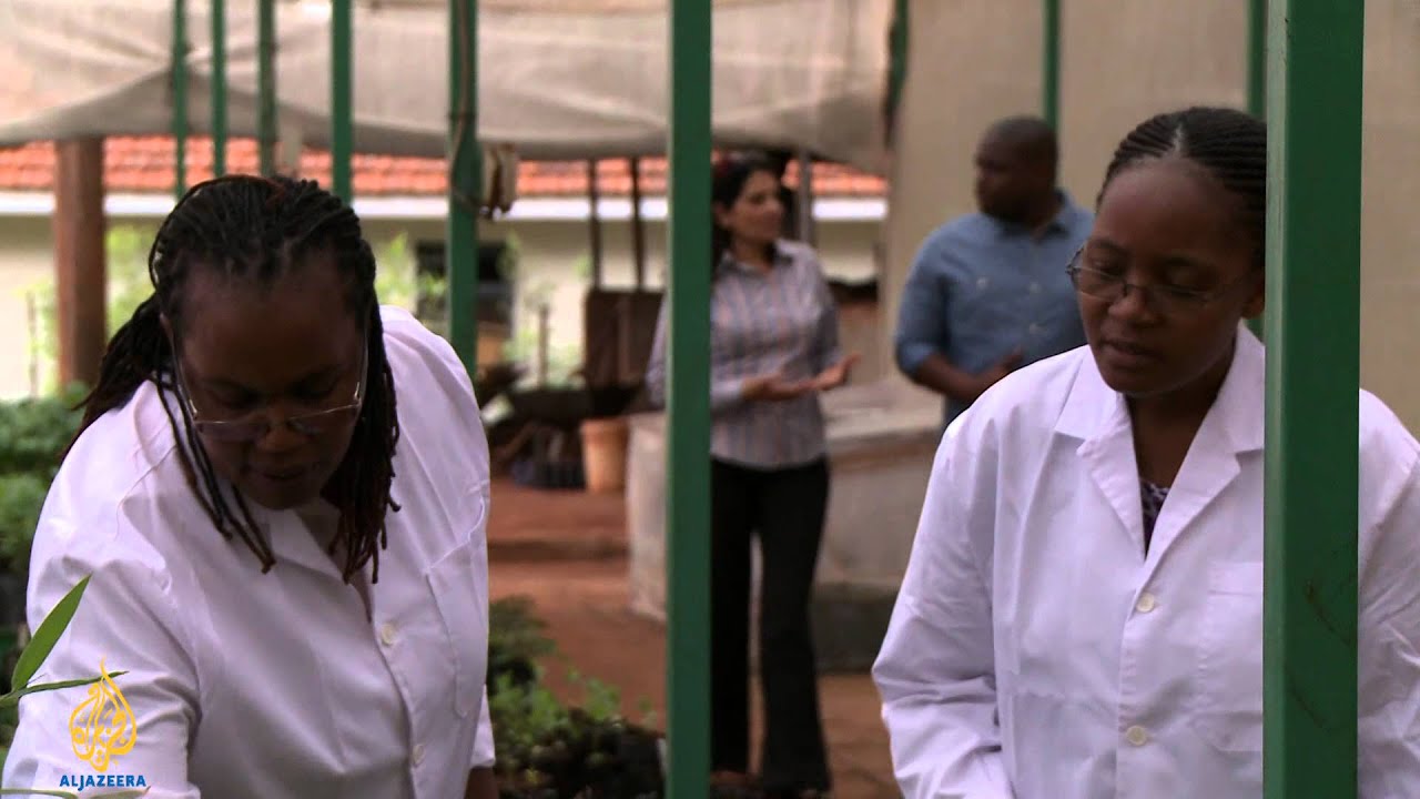 Still from Innovate Africa - Transforming food