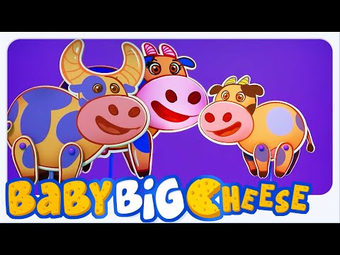 Animaux Sons Chanson + Plus Baby Big Cheese Apprentissage Vidéos et Comptines en Français