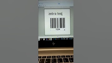 Network printing to zebra software