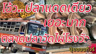 ปลาแดดเดียวเยอะที่สุดในสุพรรณบุรี #ตลาดปลาวัดไผ่โรงวัว ปลาเยอะมาก!!!