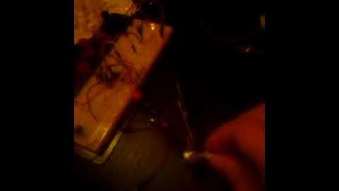 4 step tone generator w/556