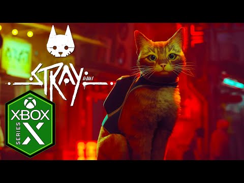 PS5™ STRAY the CAT game  Gameplay Playstation®5 