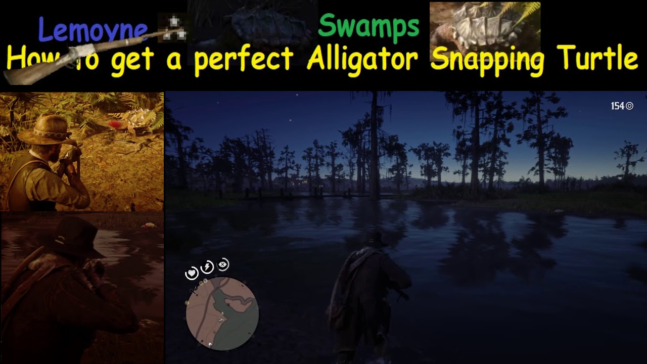 RDR2 How to get a perfect Snapping Turtle - YouTube