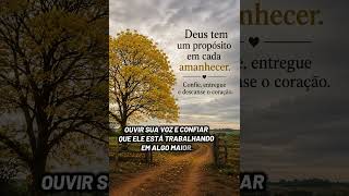 🌾 Deus continua trabalhando, mesmo quando você não consegue ver.