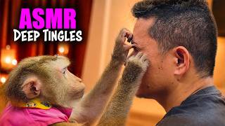 Monkey ASMR DEEP TINGLES | Close-Up Grooming & Soft Tapping to Sleep FAST (2Hr, No Talking) screenshot 2