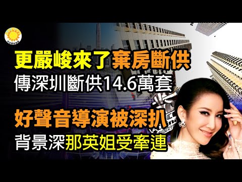 ?中共地方政府要瘫！大批城市小区停工，引爆民众示威频发；更严峻的来了！弃房断供，疯传仅深圳断供房14.6万套；《好声音》导演被深扒！背景深来头不简单，那英姐姐也受牵连；李玟录音事件升级！ 阿波罗网CY