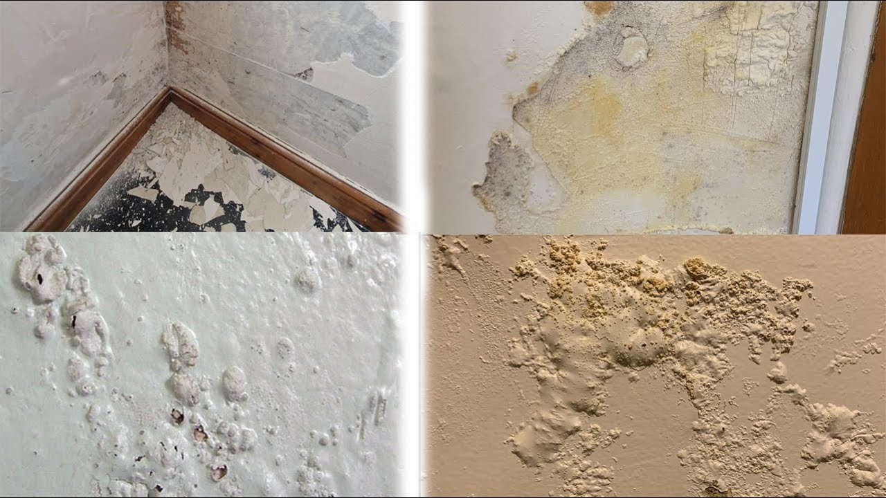 MENYA NEZA  URINDE INYUBAKO YAWE KWANGIRIKA BITEWE NO KUTAMENYA MENYA #UBURYO BWIZA N' AMARANGE MEZA