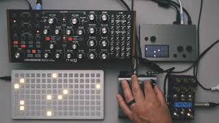 Moog Subharmonicon + Monome Norns + Chase Bliss Thermae + Strymon El Capistan