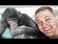 Дан Запашный и шимпанзе бонобо Боня | Вечерняя болталка