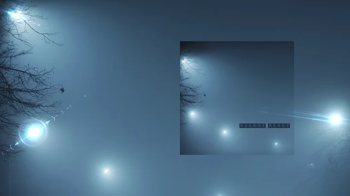 Peter Ries "Silent Reset"
