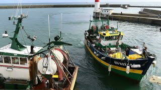 France to block British fishing boats from ports in post-Brexit row • FRANCE 24 English