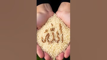 #سورة_الإخلاص #ikhlas #subscribe #automobile #egzonibrahimi #healthisgood ❣️🤲❣️☝️☪️