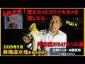 正体不明！変なカメとカミツキガメを探したら...外来種だらけだった夜！ Genetic pollution and invasive species ≫生物ハンター加藤英明【公式】かとチャン