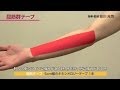 「屈筋群テープ」【基本編】　部位別　キネシオロジーテープの貼り方　【テーピング】