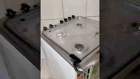 Como fazer para tirar um rato dentro do fogão?