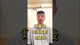 籠內訓練的重要性！給毛孩安全感！｜熊爸估狗