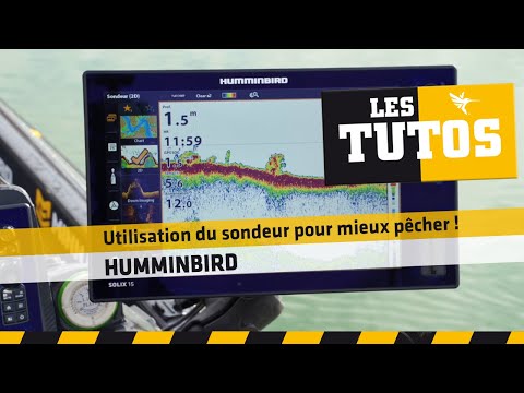 Vidéo: Comment Pêcher Avec Un Sondeur