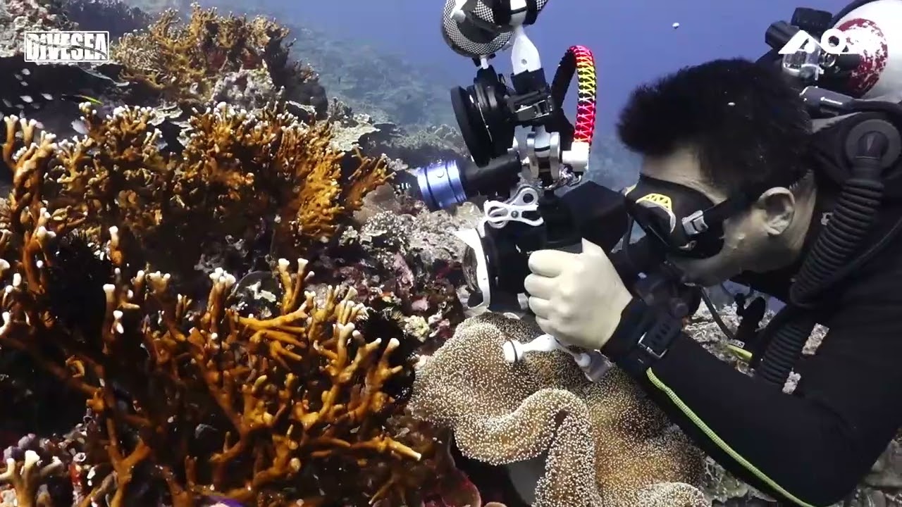 AOI UH-GPX Underwater Housing for GoPro Hero 9/10/11/12 Camera
