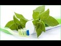 Как сделать натуральную зубную пасту? How to make a natural toothpaste?