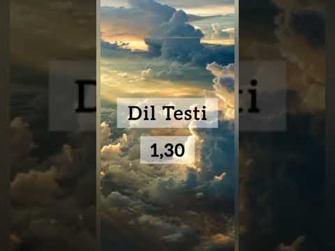 Dil testi(kolaydan zora doğru😵)yapa bilen olmadı