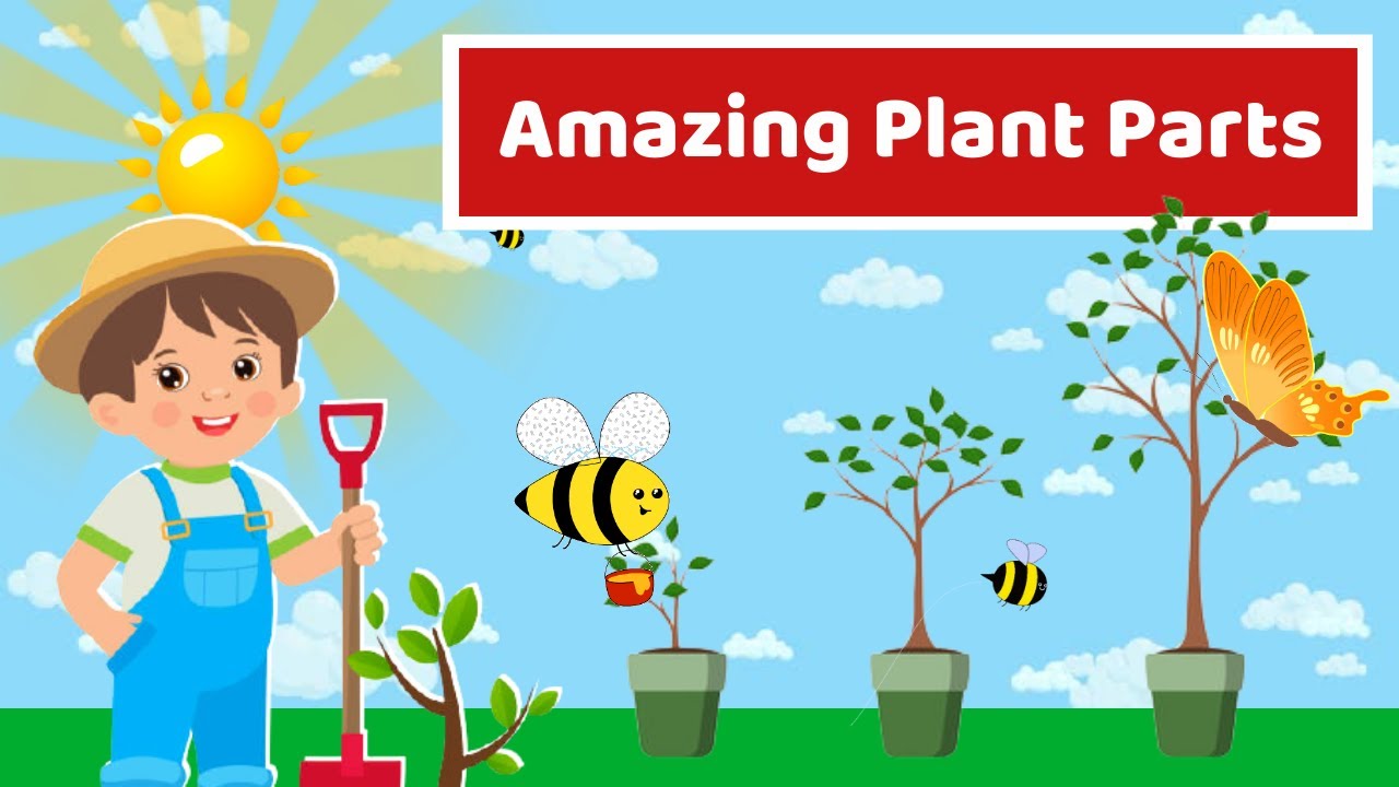 Parts of the Plants! | Amazing Plant Parts | Learn in a Funny Way | For ...