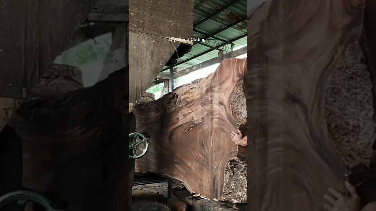 Giant Log Transformation.