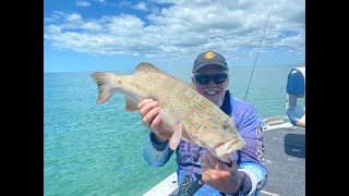 Fishing The Haughton sth of Townsville, Chasing Barramundi, however catching a Trout instead.