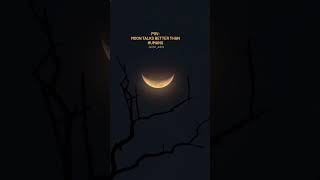 Moon Status Youtube Shorts