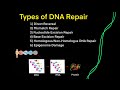 DNA Mutations & DNA Repair (EVERY TYPE OF DNA REPAIR YOU NEED TO KNOW FOR MCAT BIOLOGY GENETICS)