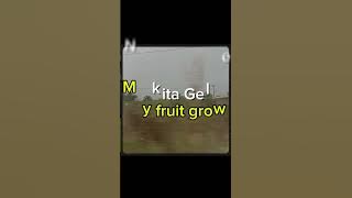 Sophyn- Nkita Gele (official lyric video)