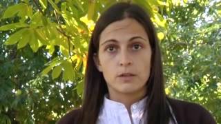 Comienza la recogida de la castaña