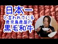 【和牛のオリンピックで日本一】鹿児島県の総合優勝に導いた鹿屋産の黒毛和牛をしゃぶしゃぶでいただく！   【Mukbang】【鹿児島ユーチューバー】【먹방】【eating show】【อร่อย】