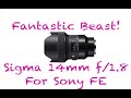 FANTASTIC BEAST!  Sigma 14mm f/1.8 Art Lens for Sony FE Mount Cameras