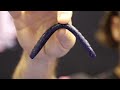 2017 ICAST - Missile Baits - John Crews
