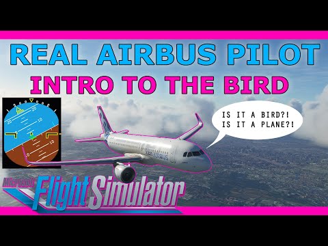 Flybywire A32NX adds the Bird! Tutorial with a Real Airbus Pilot