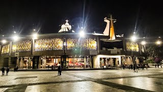 Cdmx Hotel Limpio Y Económico Cerca De Villa Basílica. Cdmx Tel 52 55 5577 4522