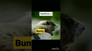 tag bunty ||😅😅😂😅😂🤣🤣🤣
