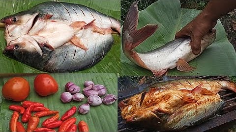 ikan bakar patin sambal kecap pedas