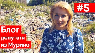 Свалка под Мурино. Вонь с кофейного завода. Расширение улицы Шоссе в Лаврики