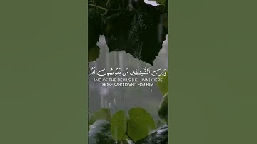 سورة الانبياء||شريف مصطفى||#شريف مصطفى#اسلام صبحي#قرآن#غزة #فلسطين