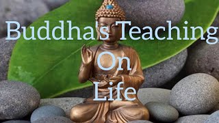 What buddha has taught?/positive quotes