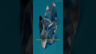 Scientists Found a Crystal That Grows 10,000x Faster Than Expected?! #Shorts