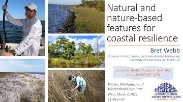 W3 seminar: Natural and nature-based features for coastal resilience