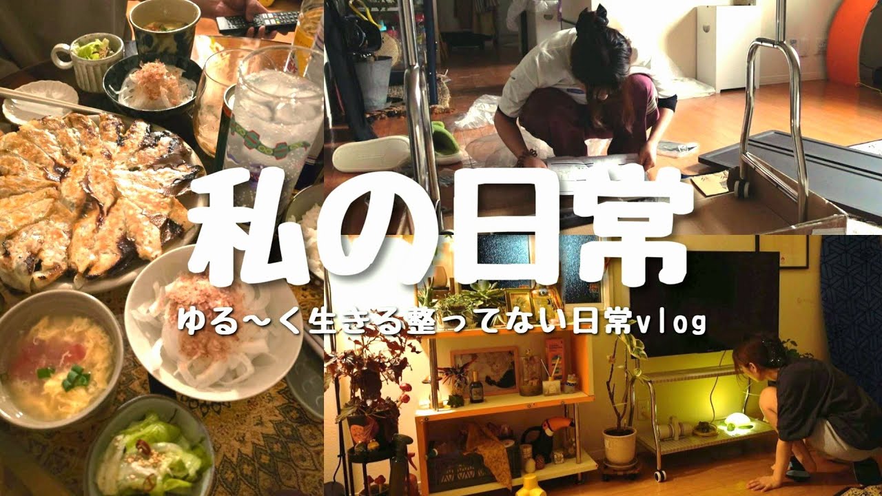 普通の日の、何気ない日常。/vlog